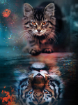Deimantinė mozaika su rėmeliu TM Varvikas Self-Reflection LG329e 40x50 cm