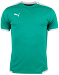 Mar&scaron;kinėliai vyrams Puma teamLiga Jersey 704917 05, žali