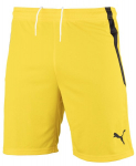 &Scaron;ortai vyrams PUMA teamLIGA 704924 07