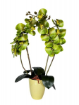 Dirbtinė orchidėja Žalia