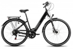 Elektrinis dviratis ProEco Wave AN 1.0 R 504Wh graphite-silver-17" / M