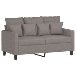 Dvivietė sofa，Poilsio sofa, taupe spalvos, 120cm, audinys CFE63182