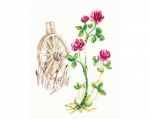 Siuvinėjimo kryželiu rinkinys, RTO, 10.5x14 cm