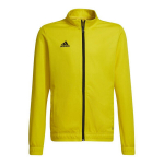 Vaiki&scaron;kas megztinis Adidas Entrada 22 HI2139, geltonas