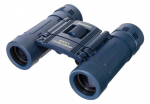 Žiūronai Žiūronai Discovery Basics BB 8x21