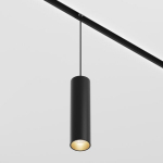 Maytoni pakabinamas &scaron;viestuvas LED TR041-2-12W3K-B