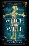 Witch in the Well: A deliciously disturbing Gothic tale of a revenge reaching out across the years