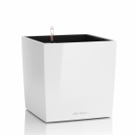 Vazonas su savaiminio drėkinimo sistema LECHUZA Cube Premium 50 White, 16560