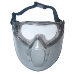 Plastikinis antveidis su akiniais