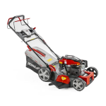 Benzininė vejapjovė DEDRA DED8725Q-53L 196cc, Loncin