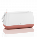 Krep&scaron;ys Lechuza Yula white/pearl rose, 13891