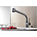 Virtuvinis mai&scaron;ytuvas su du&scaron;u Blue Water Laura chromas