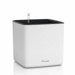 Vazonas su savaiminio drėkinimo sistema LECHUZA Cube Color LS white, 13480