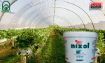 Skystis &scaron;iltnamių plėvelėms/polikarbonatui užtemdyti &ldquo;NIXOL TRANSPARENT&rdquo;, 1 kg