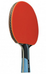 Stalo teniso raketė Biomimetic REVOLUTION 6000