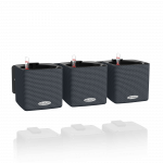 Sieninis vazonų rinkinys Lechuza Green Wall Home Kit Slate, 13399