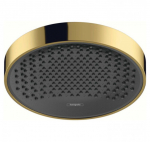 Du&scaron;o galva Hansgrohe Rainfinity 250 1jet, 26228990, aukso