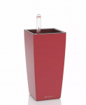 Vazonas su savaiminio drėkinimo sistema LECHUZA MINI CUBI, 18112, skaisčiai raudona matinė