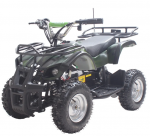 Elektrinis keturratis HB-EATV02, 1 kW