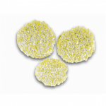 Akmens/linoleumo/PVC poliravimo &scaron;luostės KARCHER 2.863-198.0