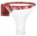 Profesionalus krep&scaron;inio lankas