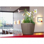 Vazonas su savaiminio drėkinimo sistema LECHUZA Quadro 21 Shiny Taupe