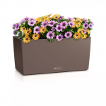 Vazonas su savaiminio drėkinimo sistema LECHUZA BALCONERA COLOR 40, 15476, muskato