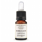 Kvepalų namams ekstraktas Erbolinea Zenzero E Limone ERBS60006, 10 ml