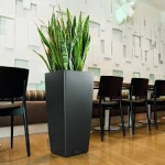 Vazonas su savaiminio drėkinimo sistema LECHUZA Cubico 40 Charcoal Metallic