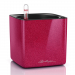 Vazonas su savaiminio drėkinimo sistema LECHUZA Cube Glossy Kiss 14 cherry pie, 13514
