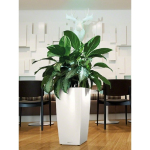 Vazonas su savaiminio drėkinimo sistema LECHUZA Cubico 40 White