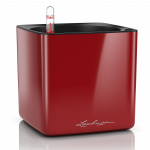 Vazonas su savaiminio drėkinimo sistema LECHUZA Cube Glossy 16 scarlet red, 13522