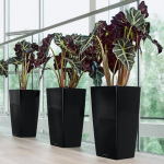 Vazonas su savaiminio drėkinimo sistema LECHUZA Cubico 50 black