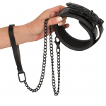 Antkaklis su pavadėliu Saitas