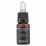 Kvepalų namams ekstraktas Erbolinea Prestige Oro Frizzante ERBT20006, 10 ml