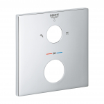 Potinkinio mai&scaron;ytuvo skydelis Grohe 49102000