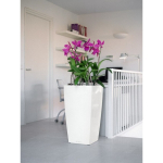 Vazonas su savaiminio drėkinimo sistema LECHUZA Cubico 50 White