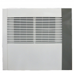 Oro sausintuvas Ecor Pro D1100