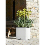 Vazonas su savaiminio drėkinimo sistema LECHUZA Cube LS Color 35, white