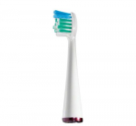 Dantų &scaron;epetėlio galvutė Waterpik 2SRB-2W
