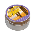 Aromatinis žele STYLIES AUTUMN, kvapų garintuvui ELARA