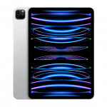 Apple iPad Pro 11" (2022) Wi-Fi 4th Gen plan&scaron;etinis kompiuteris 2 T Silver