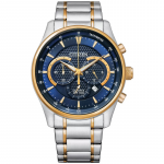 Citizen Chronograph AN8194-51L