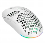 Gaming Mouse GAMIAC PX71 - White