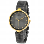 Bisset Bienne ZEGBIS097