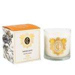 CAPE ISLAND aromatinė žvakė SAFARI DAYS 500g