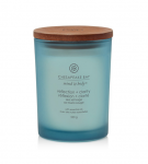 Žvakė, aromatinė Chesapeake Bay Reflection + Clarity, 250 g, Mėlyna