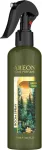 Namų kvapas, pur&scaron;kiamas Areon Green Aura, 250 ml