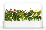 I&scaron;manioji daigykla Click & Grow SG-9, balta sp.
