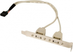 Adapteris Gembird 1 x Internal USB to 2 x USB Type-A USB 2.0 x 2, USB 10 pin internal, 0.25 m